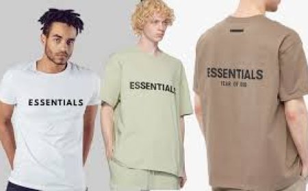 The Perfect Blend of Comfort and Style