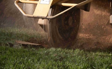 Stump Grinding: The Ultimate Guide to Removing Tree Stumps the Smart Way