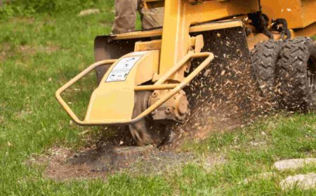 Stump Grinding: The Complete Guide to Removing Tree Stumps Safely and Efficiently