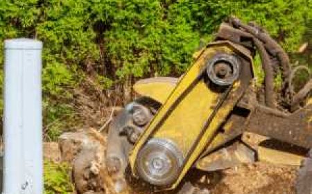Stump Grinding: The Ultimate Guide to Removing Tree Stumps Safely and Efficiently