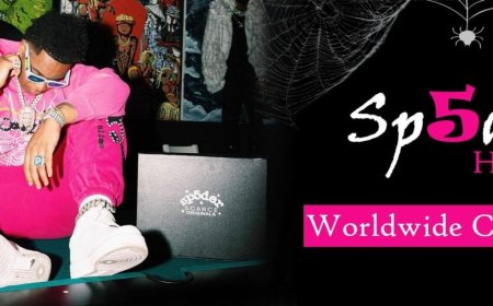 Step Into Style Power: Spider Hoodie 555 Drops This Season