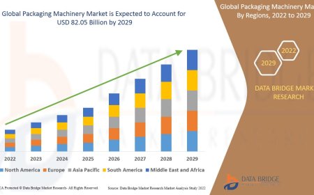 Packaging Machinery Market Insights and Growth Trends