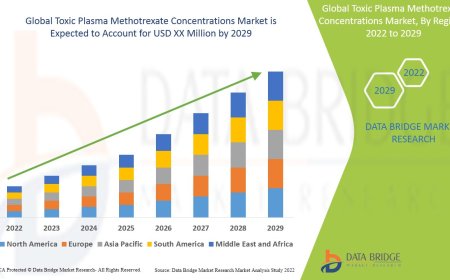 Toxic Plasma Methotrexate Concentrations Market Growth and Future Trends