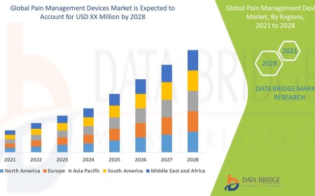 Global Pain Management Devices Market Leaders: Growth, Share, Value, Size, and Scope