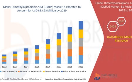 Dimethylolpropionic Acid (DMPA) Market Industry Analysis and Forecast By 2029
