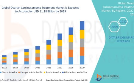 Global Ovarian Carcinosarcoma Treatment Market Growth Drivers: Share, Value, Size, and Insights