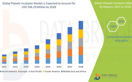 Platelet Incubator Market Industry Analysis and Forecast By 2028