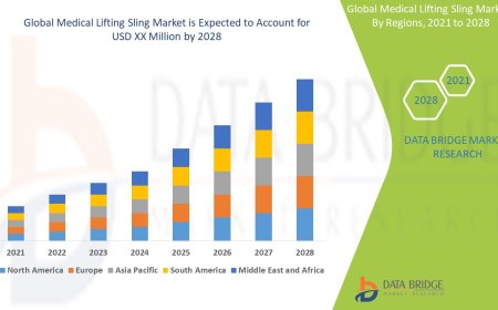 Medical Lifting Sling Market Overview, Growth Analysis, Trends and Forecast By 2028