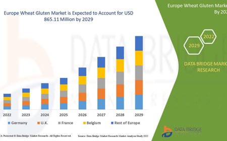 Europe Wheat Gluten Market Graph: Growth, Share, Value, Size, and Insights