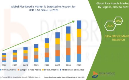 Global Rice Noodle Market Companies: Growth, Share, Value, Size, and Insights