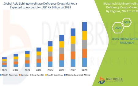 Acid Sphingomyelinase Deficiency Drugs Market Industry Analysis and Forecast By 2028