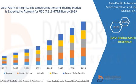 Asia-Pacific Enterprise File Synchronization and Sharing Market Size, Trends, Growth Analysis and Forecast By 2029