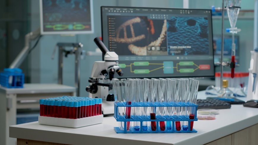 Natural Killer Cells: The Next Frontier in Immunotherap