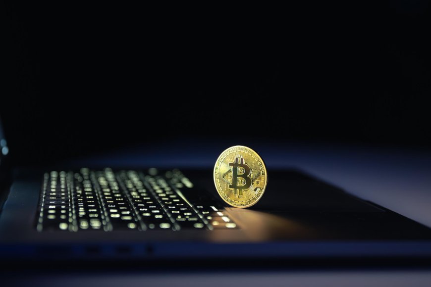 Free vs. Paid Crypto Calculators: Which Should You Use?