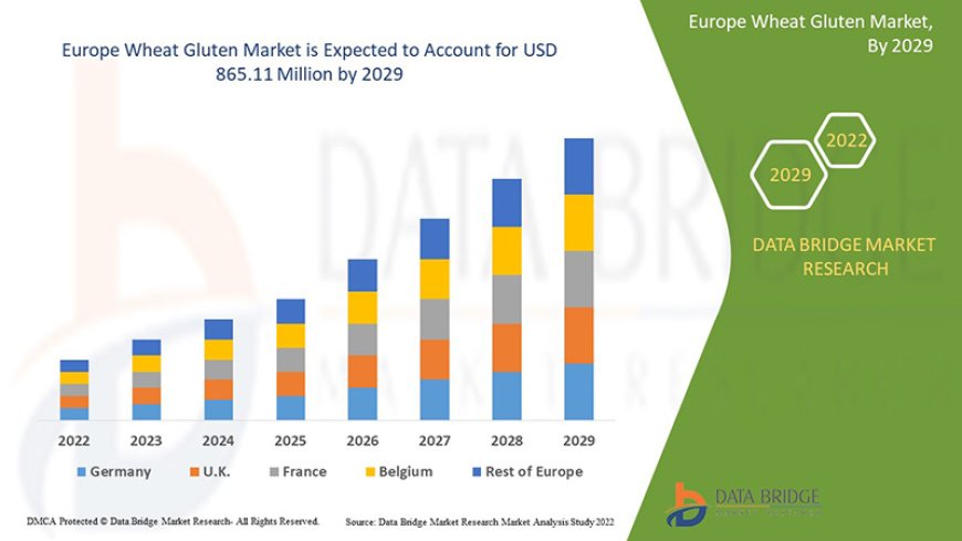 Europe Wheat Gluten Market Graph: Growth, Share, Value, Size, and Insights
