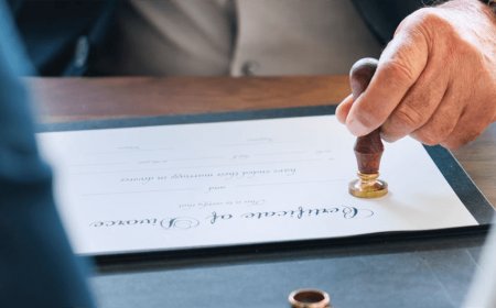 7 Essential Tips for Hiring the Best Florida Attorney for Your Case