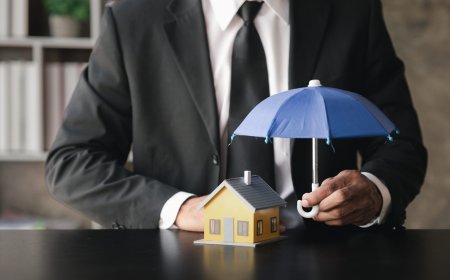 Why Hiring a Public Insurance Adjuster Could Be the Best Decision After a Property Loss