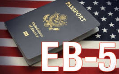 How Do EB5 Visa Consultants Make Immigration Easier?