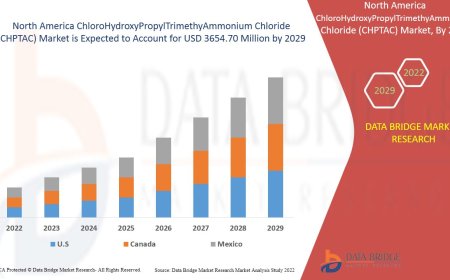 North America ChloroHydroxyPropylTrimethyAmmonium Chloride (CHPTAC) Market Value with Status and Analysis 2029