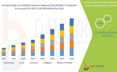 Europe Single Use Medical Devices Reprocessing Market Value with Status and Analysis 2028