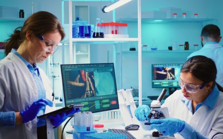 Exploring the Patient Journey Through Clinical Trials