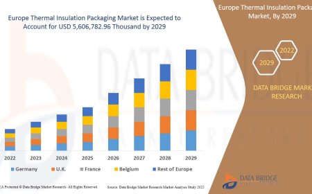 Europe Thermal Insulation Packaging Market Value with Status and Analysis 2029