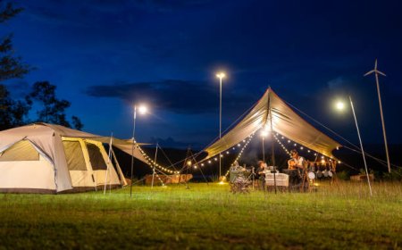 5 Nights 6 Days Golden Triangle Tour Itinerary & Highlights