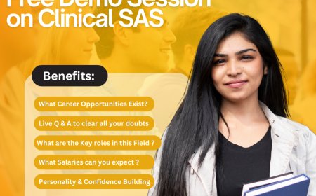 The Ultimate Guide to SAS Programming in 2025: Clinical SAS Data