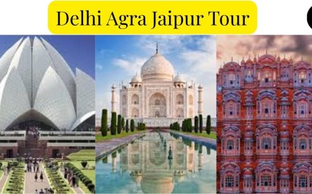 Delhi Agra Jaipur Tour: Royal Palaces, Taj Mahal Wonders