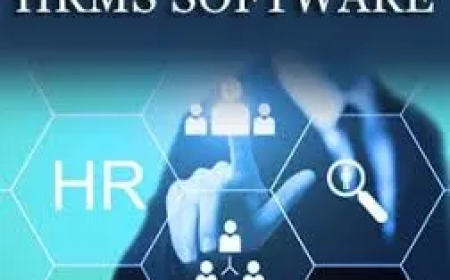 Choosing the Right HRMS Software Company for Your Business Needs