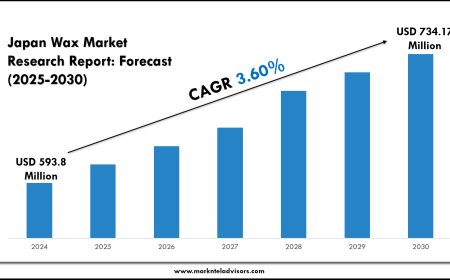 Japan Wax Market Landscape and Outlook (2025–2030)