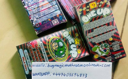 How to consume magic mushroom chocolate for Depression