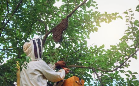 Protecting Your Yard from Stingers: Simple Steps for Long-Term Wasp Hornet Control