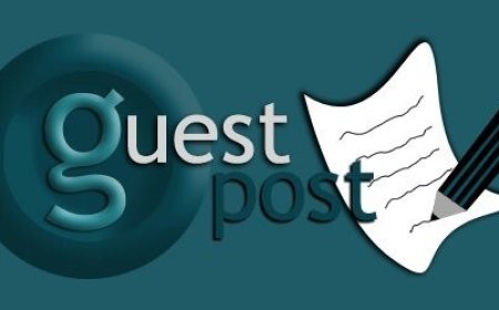 Powerful Guest Post Packages for Building Niche Authority Fast