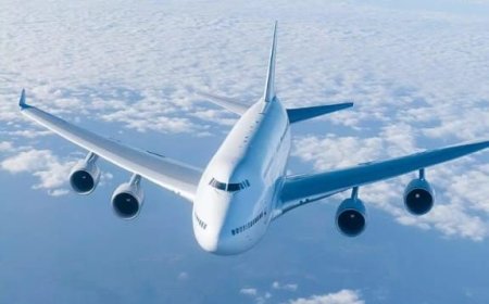 Azerbaijan Airlines Mumbai Office in India