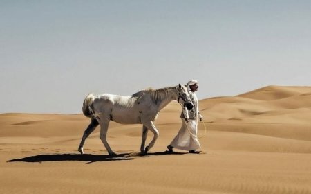Dubai Desert Safari Tours: A Majestic Arabian Experience