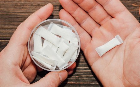 Roadmap for Setting up a Nicotine Pouches Manufacturing Plant Project | Report by IMARC Group