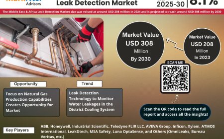 Leading Middle East & Africa Leak Detection Market Companies: Trends, Key Players & Outlook 2025