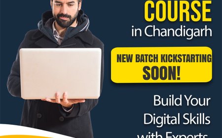 Explore the Best IT & Computer Training Institutes in Chandigarh