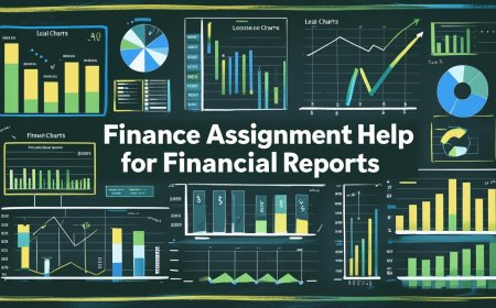 Finance Assignment Help For Financial Reports
