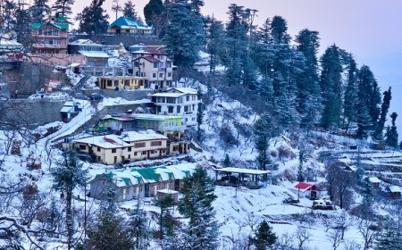 Explore Hills with Chandigarh To Shimla Tour Package Deal