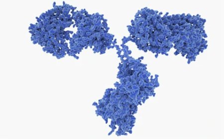 Human Hybrid IgM Control Monoclonal Antibodies to Accelerate Diagnostic Assay Development