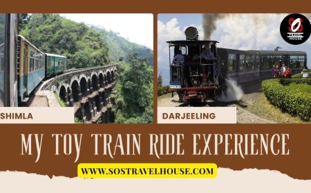 Looking for Affordable Darjeeling Trips Under 10000 INR
