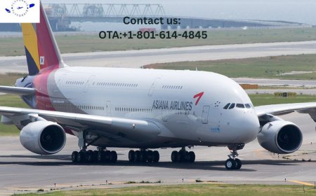 How Do I Speak to a Live Person at Asiana? -– Support That Actually Listens