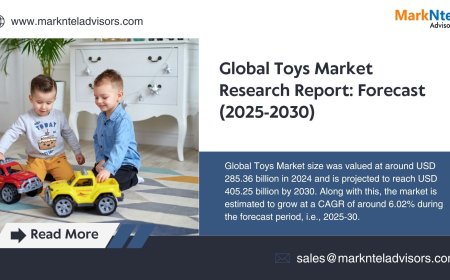 Toys Market Size, Competitive Landscape and Outlook 2030