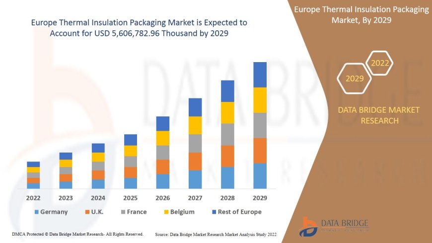 Europe Thermal Insulation Packaging Market Value with Status and Analysis 2029