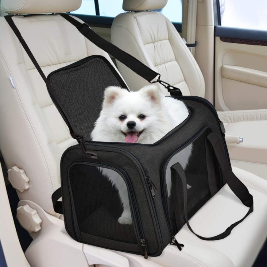 Choosing the Right Dog Carrier: A Must-Have for Pet Owners on the Go